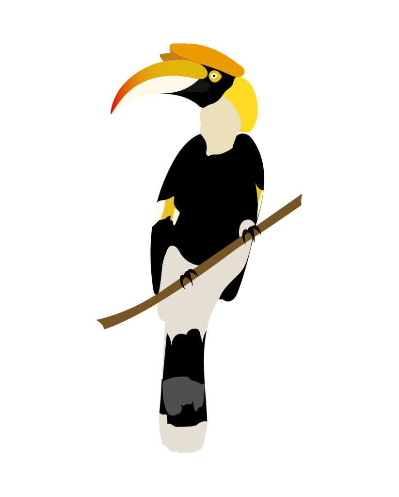 Illustration eines Great Hornbills